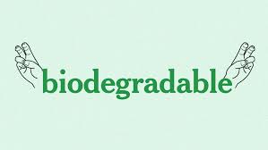 Recipientes biodegradáveis para alimentos feitos de polpa de cana-de-açúcar