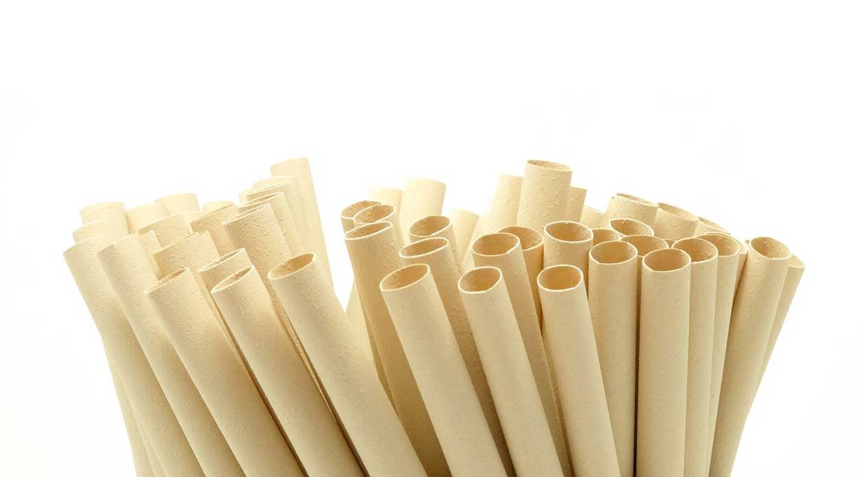 Canudos de fibra de bambu ecológicos Fpacksolution